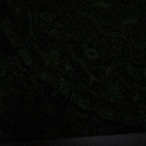 Meet your Posher, Jake